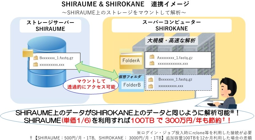 SHIROKANE+SHIRAUME